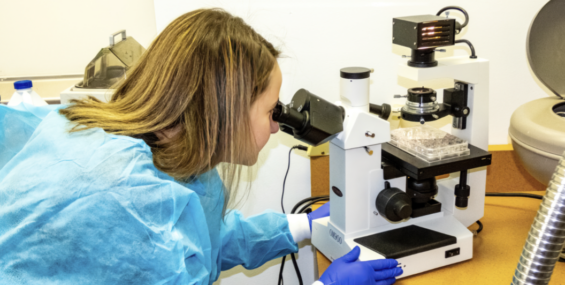 Person looking into a microscope in a lab